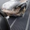 porsche-boxster-restauro-fronte-lain